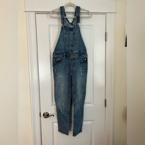 Levi’s Overalls